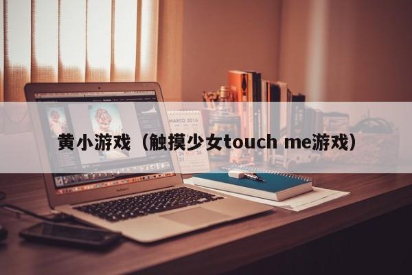 黄小游戏（触摸少女touch me游戏）