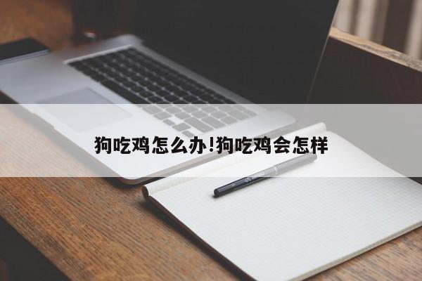 狗吃鸡怎么办!狗吃鸡会怎样