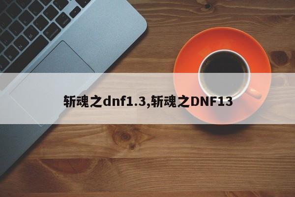 斩魂之dnf1.3,斩魂之DNF13