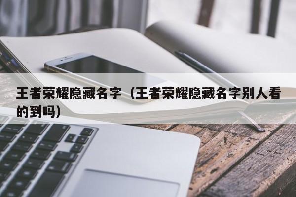 王者荣耀隐藏名字（王者荣耀隐藏名字别人看的到吗）