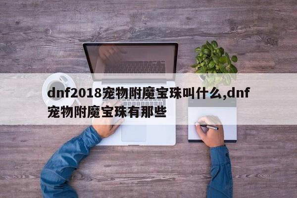 dnf2018宠物附魔宝珠叫什么,dnf宠物附魔宝珠有那些