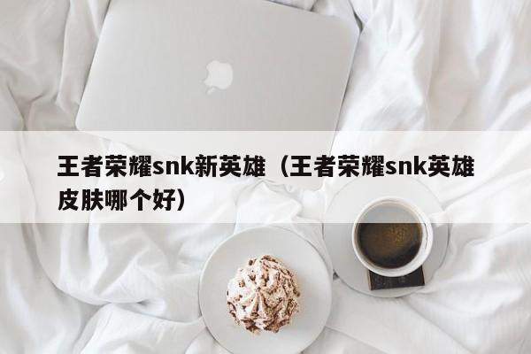 王者荣耀snk新英雄（王者荣耀snk英雄皮肤哪个好）
