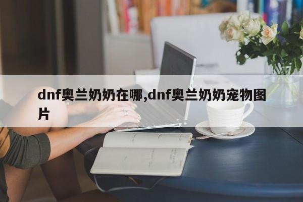 dnf奥兰奶奶在哪,dnf奥兰奶奶宠物图片