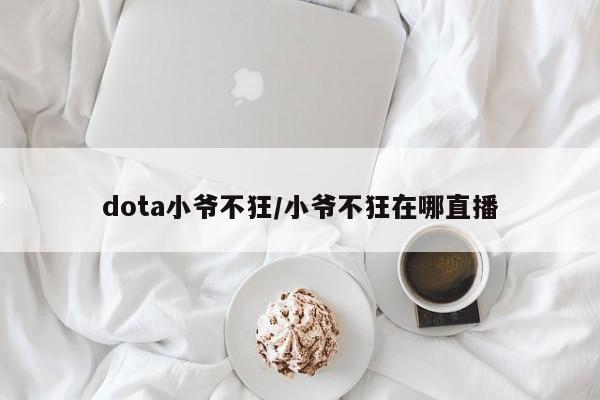 dota小爷不狂/小爷不狂在哪直播