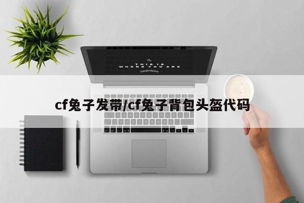 cf兔子发带/cf兔子背包头盔代码